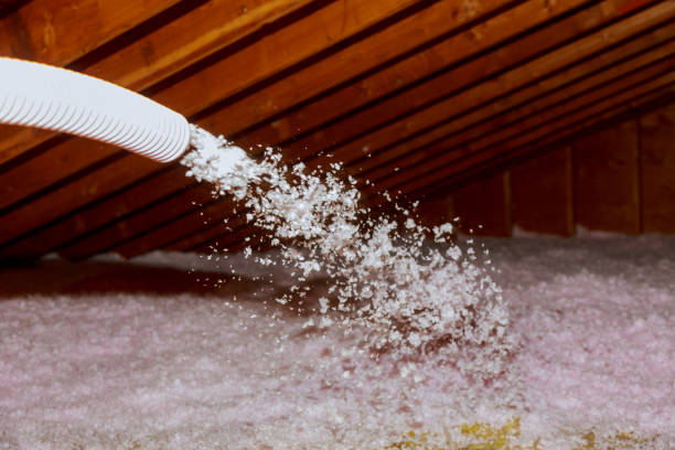 Best Insulation Maintenance and Repair in Franklinton, LA