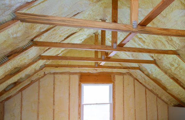 Best Spray Foam Insulation in Franklinton, LA
