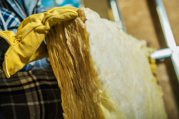 Best Cellulose Insulation in Franklinton, LA