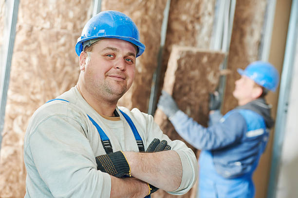 Best Eco-Friendly Insulation in Franklinton, LA